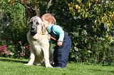 ENFANT ET CHIEN 600